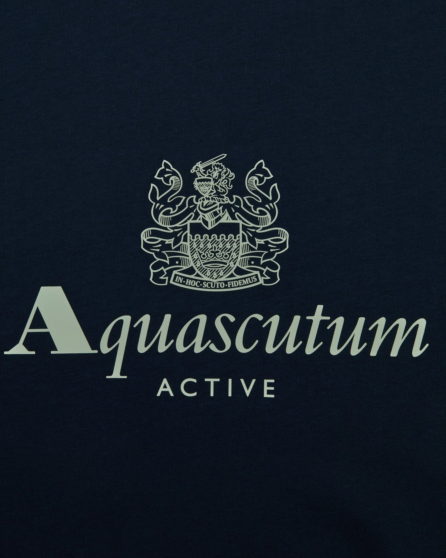 Aquascutum Big logo t-shirt navy